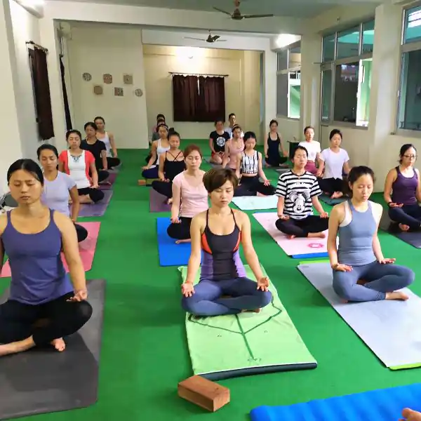 200 Hour Yoga Teacher Training Kerala, India